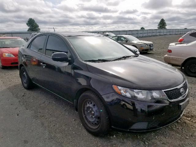 KNAFU4A25B5436092 - 2011 KIA FORTE EX BLACK photo 1