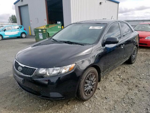 KNAFU4A25B5436092 - 2011 KIA FORTE EX BLACK photo 2