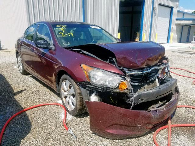 JHMCP26838C001525 - 2008 HONDA ACCORD EXL BURGUNDY photo 1