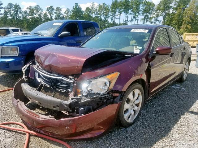 JHMCP26838C001525 - 2008 HONDA ACCORD EXL BURGUNDY photo 2