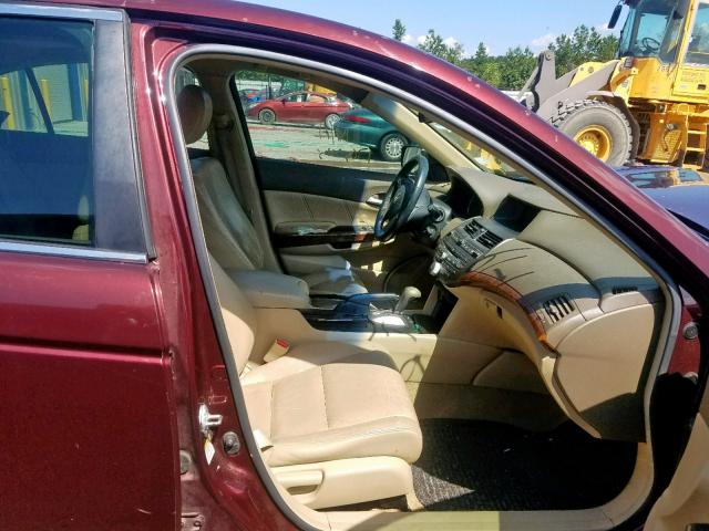 JHMCP26838C001525 - 2008 HONDA ACCORD EXL BURGUNDY photo 5