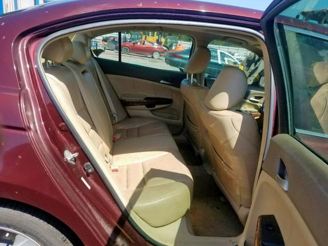 JHMCP26838C001525 - 2008 HONDA ACCORD EXL BURGUNDY photo 6