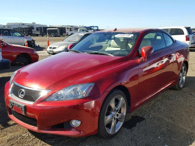 JTHFF2C25A2514495 - 2010 LEXUS IS 250 RED photo 2