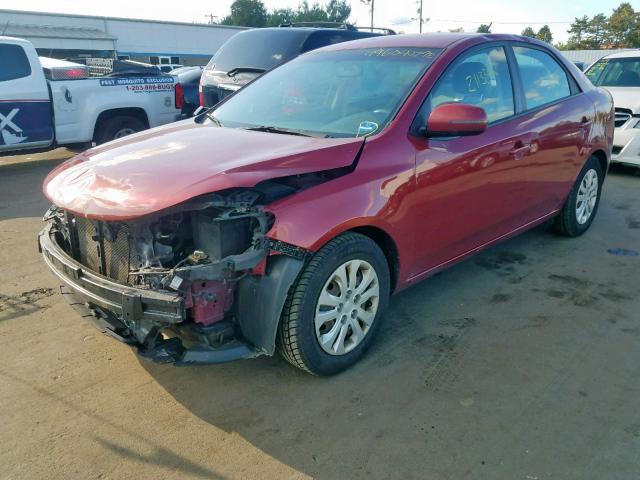 KNAFU4A2XC5511001 - 2012 KIA FORTE EX RED photo 2