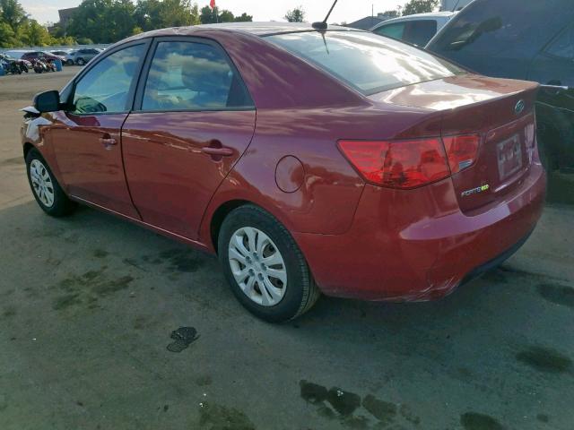 KNAFU4A2XC5511001 - 2012 KIA FORTE EX RED photo 3