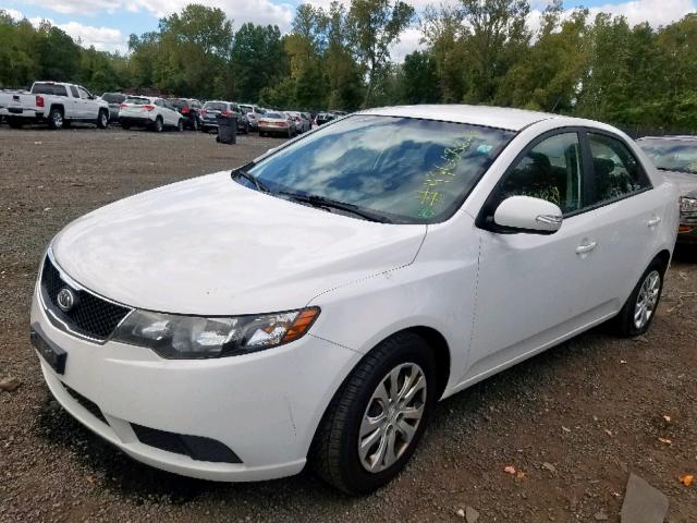 KNAFU4A24A5174113 - 2010 KIA FORTE EX WHITE photo 2