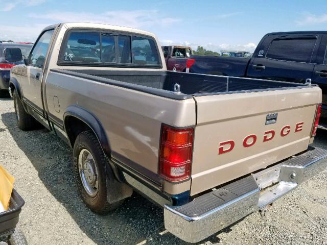 1B7HL26Y0PS253773 - 1993 DODGE DAKOTA GOLD photo 3