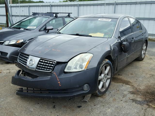 1N4BA41E95C859784 - 2005 NISSAN MAXIMA SE GRAY photo 2