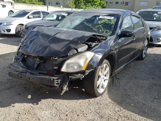 1N4BA41E98C803087 - 2008 NISSAN MAXIMA SE BLACK photo 2