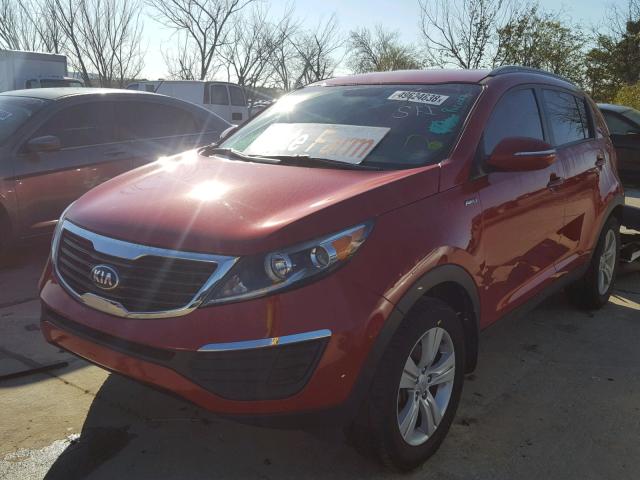 KNDPBCA22D7531269 - 2013 KIA SPORTAGE L RED photo 2