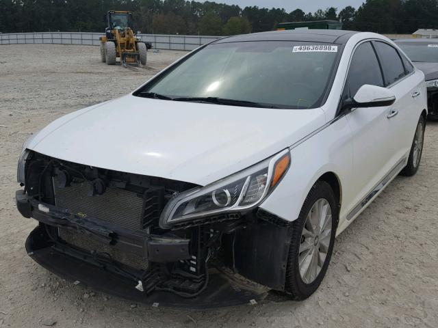 5NPE34AF3FH096063 - 2015 HYUNDAI SONATA SPO WHITE photo 2