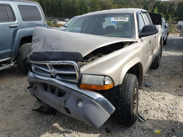 1D7HL48K64S781775 - 2004 DODGE DAKOTA QUA GOLD photo 2