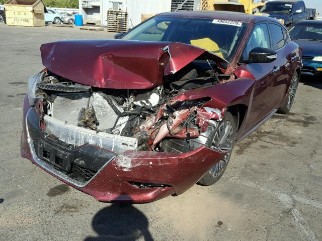 1N4AA6AP8HC412988 - 2017 NISSAN MAXIMA 3.5 MAROON photo 2