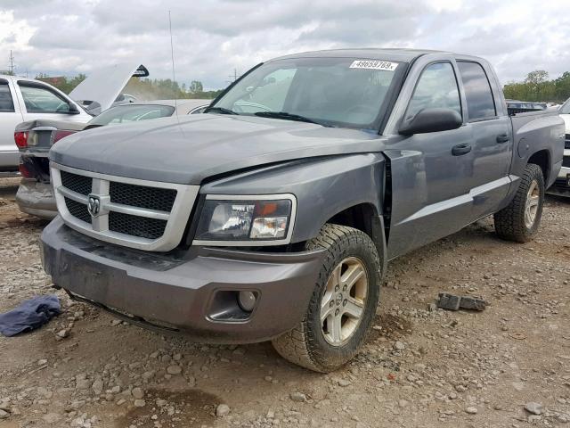 1D7CW3GK1AS110846 - 2010 DODGE DAKOTA SXT GRAY photo 2