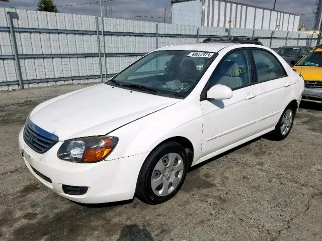 KNAFE222095614341 - 2009 KIA SPECTRA EX WHITE photo 2