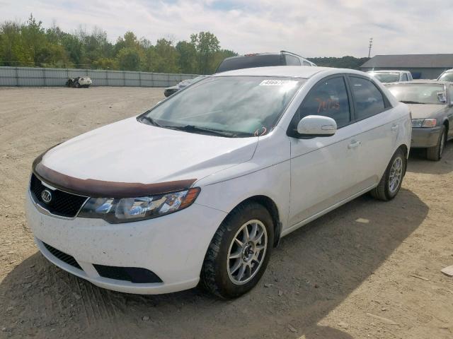 KNAFU4A21A5827559 - 2010 KIA FORTE EX WHITE photo 2