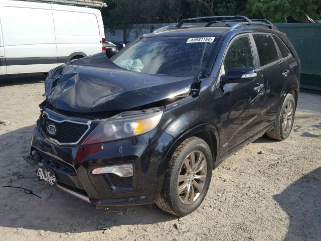 5XYKWDA23BG161759 - 2011 KIA SORENTO SX BLACK photo 2