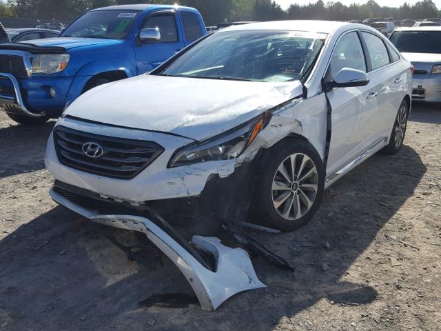 5NPE34AF4FH090191 - 2015 HYUNDAI SONATA SPO WHITE photo 2