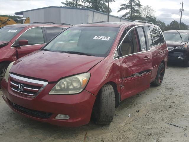 5FNRL38865B075000 - 2005 HONDA ODYSSEY TO RED photo 2