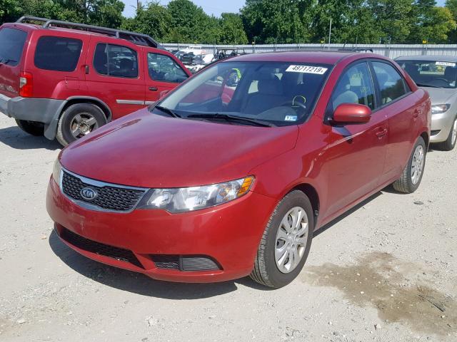 KNAFU4A23B5365250 - 2011 KIA FORTE EX RED photo 2