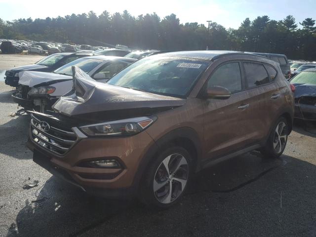 KM8J3CA25GU111025 - 2016 HYUNDAI TUCSON LIM BROWN photo 2