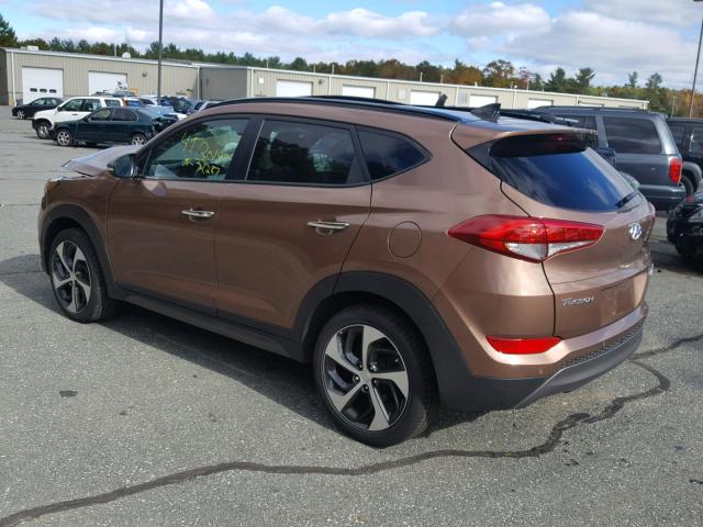 KM8J3CA25GU111025 - 2016 HYUNDAI TUCSON LIM BROWN photo 3