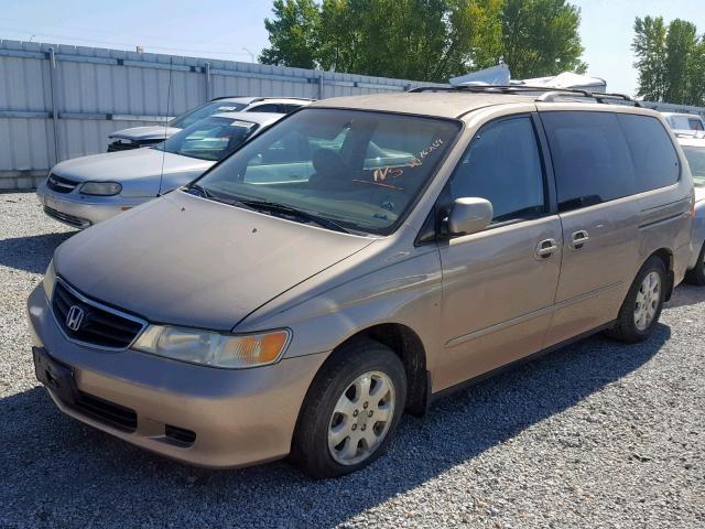 2HKRL186X2H541477 - 2002 HONDA ODYSSEY EX GOLD photo 2