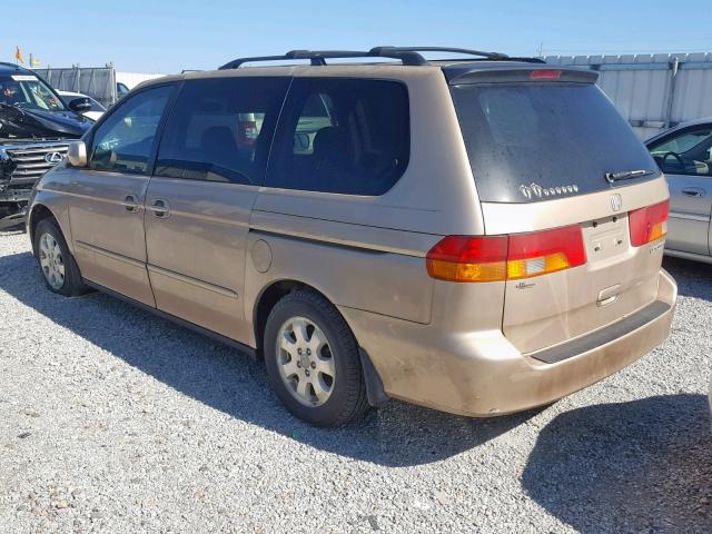 2HKRL186X2H541477 - 2002 HONDA ODYSSEY EX GOLD photo 3