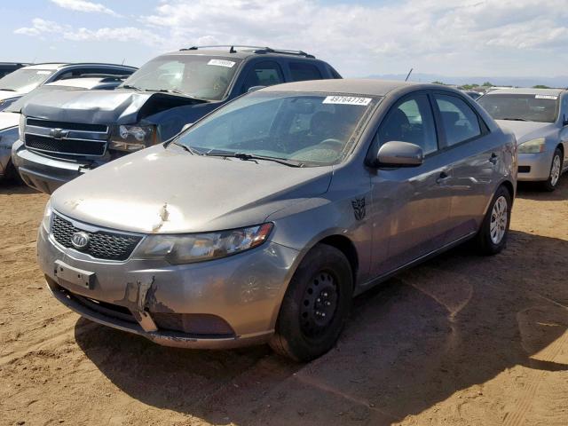 KNAFU4A26C5621074 - 2012 KIA FORTE EX GRAY photo 2