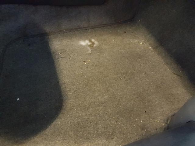 2HGEJ6616YH544307 - 2000 HONDA CIVIC BASE Mavi foto 9