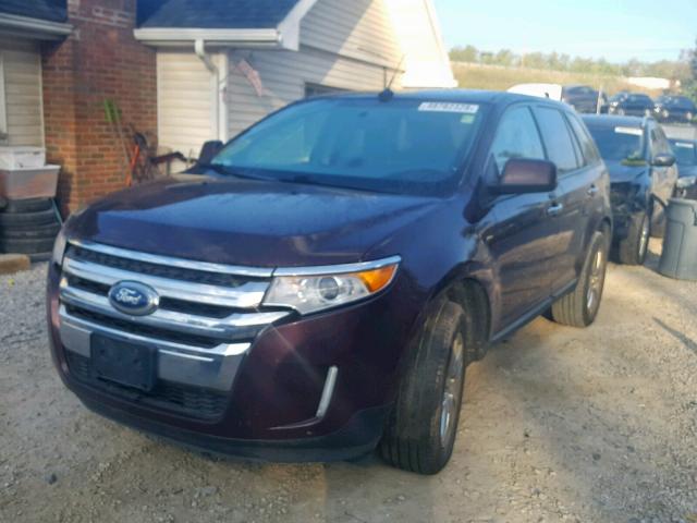 2FMDK3JC0BBA75011 - 2011 FORD EDGE SEL BURGUNDY photo 2