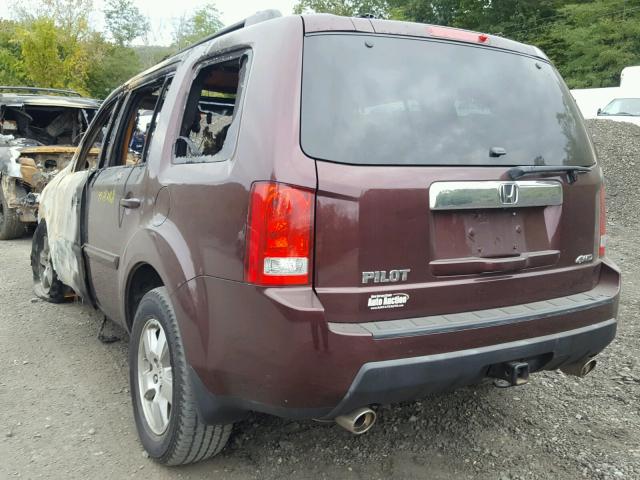 5FNYF4H79BB065492 - 2011 HONDA PILOT EXLN BURGUNDY photo 3