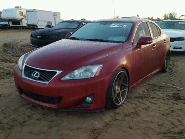 JTHBF5C29B5149402 - 2011 LEXUS IS 250 RED photo 2