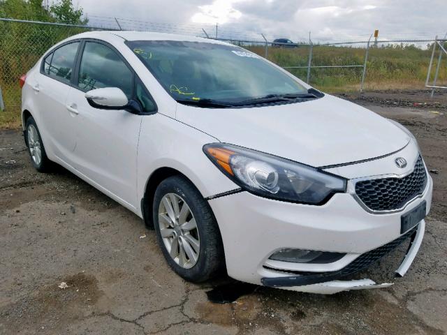 KNAFX4A68E5124329 - 2014 KIA FORTE LX WHITE photo 1