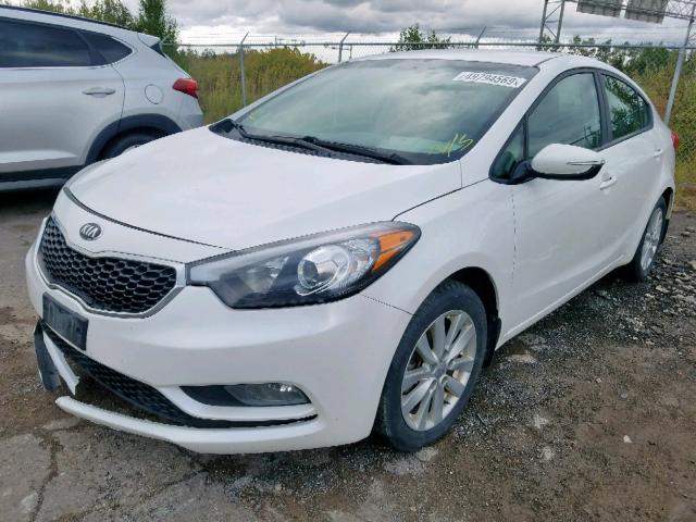 KNAFX4A68E5124329 - 2014 KIA FORTE LX WHITE photo 2