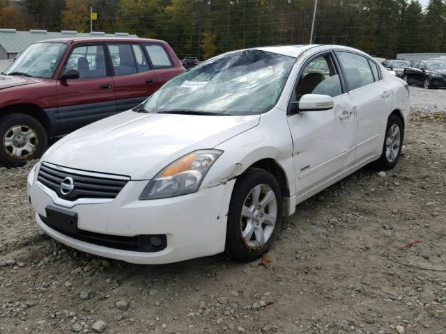 1N4CL21E18C226137 - 2008 NISSAN ALTIMA HYB WHITE photo 2