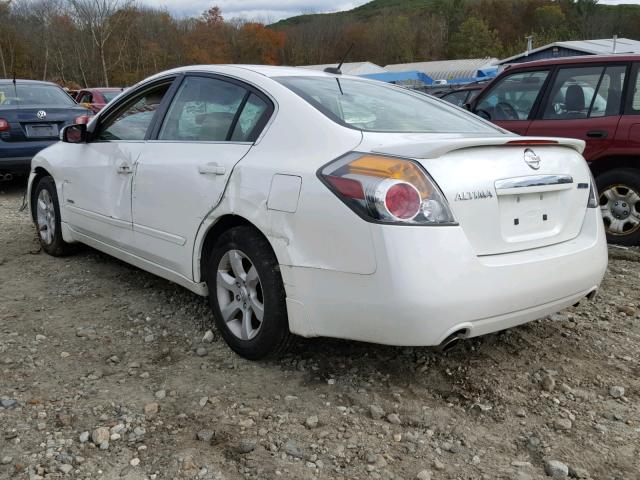 1N4CL21E18C226137 - 2008 NISSAN ALTIMA HYB WHITE photo 3