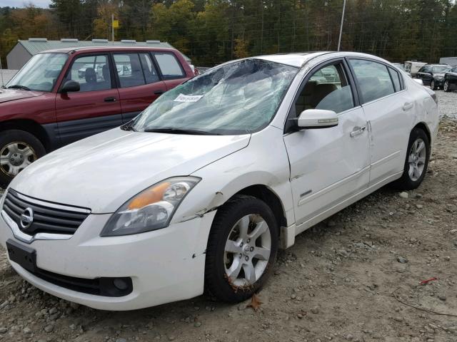 1N4CL21E18C226137 - 2008 NISSAN ALTIMA HYB WHITE photo 9