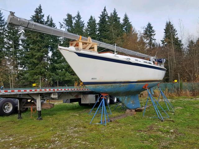 ERY35363M74J - 1974 SAIL BOAT TWO TONE photo 2