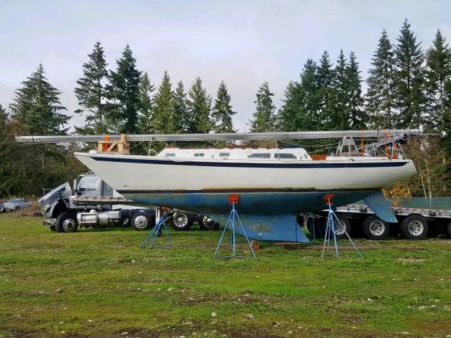 ERY35363M74J - 1974 SAIL BOAT TWO TONE photo 7