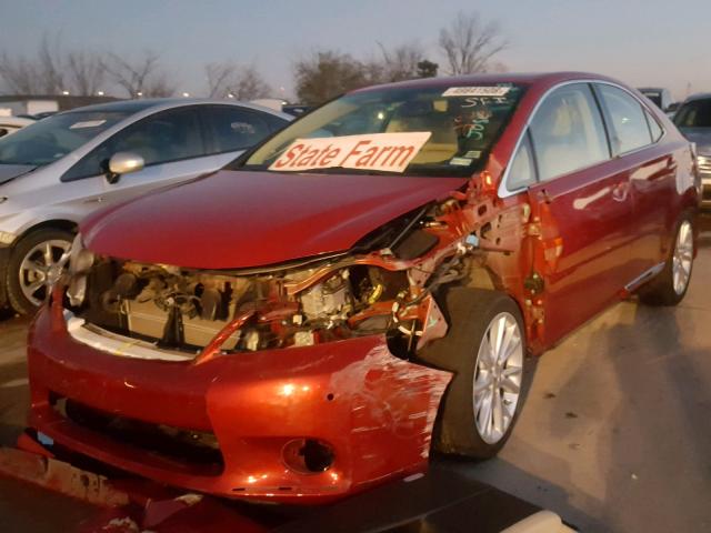 JTHBB1BA4A2026930 - 2010 LEXUS HS 250H BURGUNDY photo 2