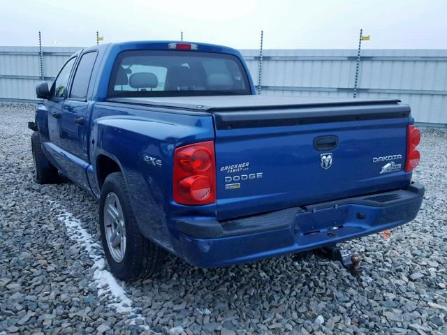 1D7RW3GPXBS713091 - 2011 DODGE DAKOTA SLT BLUE photo 3