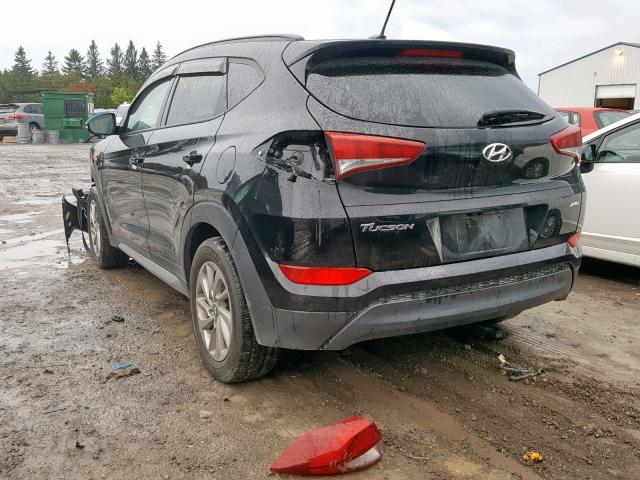 KM8J3CA42HU260964 - 2017 HYUNDAI TUCSON LIM BLACK photo 3