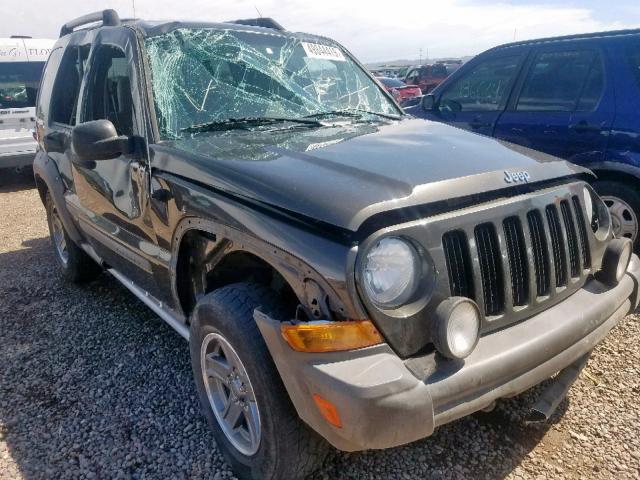 1J4GL38K65W616667 - 2005 JEEP LIBERTY RE GRAY photo 1