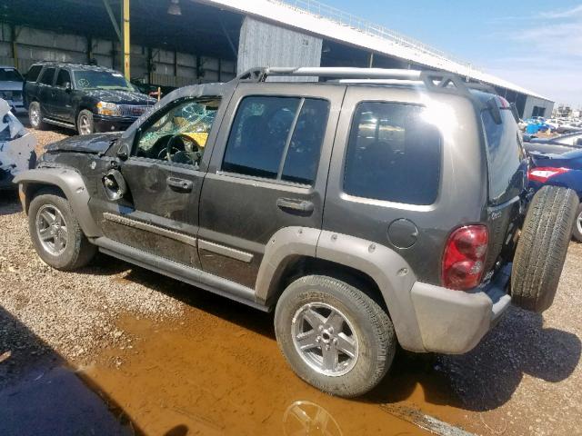 1J4GL38K65W616667 - 2005 JEEP LIBERTY RE GRAY photo 9