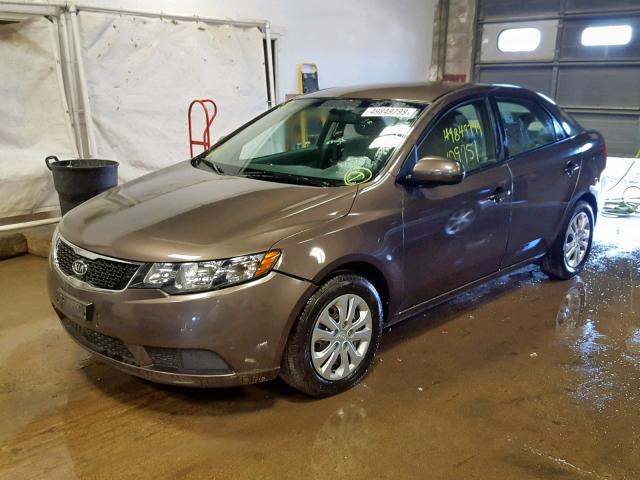 KNAFU4A29D5736236 - 2013 KIA FORTE EX BROWN photo 2