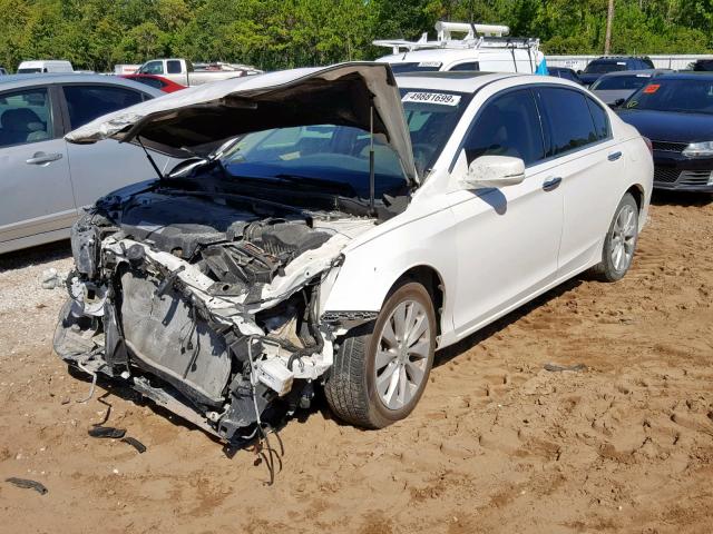 1HGCR3F87EA008214 - 2014 HONDA ACCORD EXL WHITE photo 2