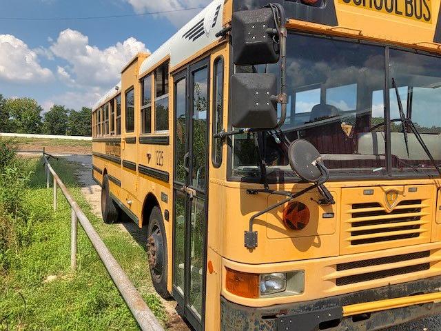 4DRBVAAN56A262492 - 2006 IC CORPORATION 3000 黄色 照片 2