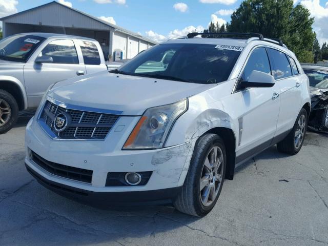 3GYFNBEY6AS639851 - 2010 CADILLAC SRX PERFOR თეთრი ფოტო 2