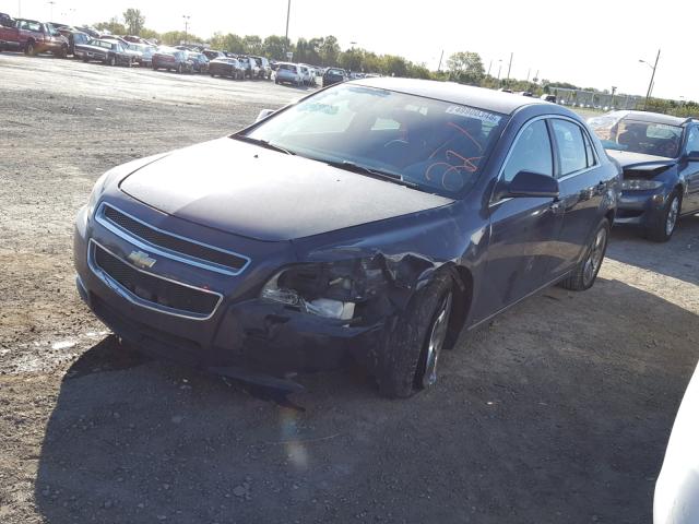 1G1ZH57N494218116 - 2009 CHEVROLET MALIBU 1LT BLUE photo 2